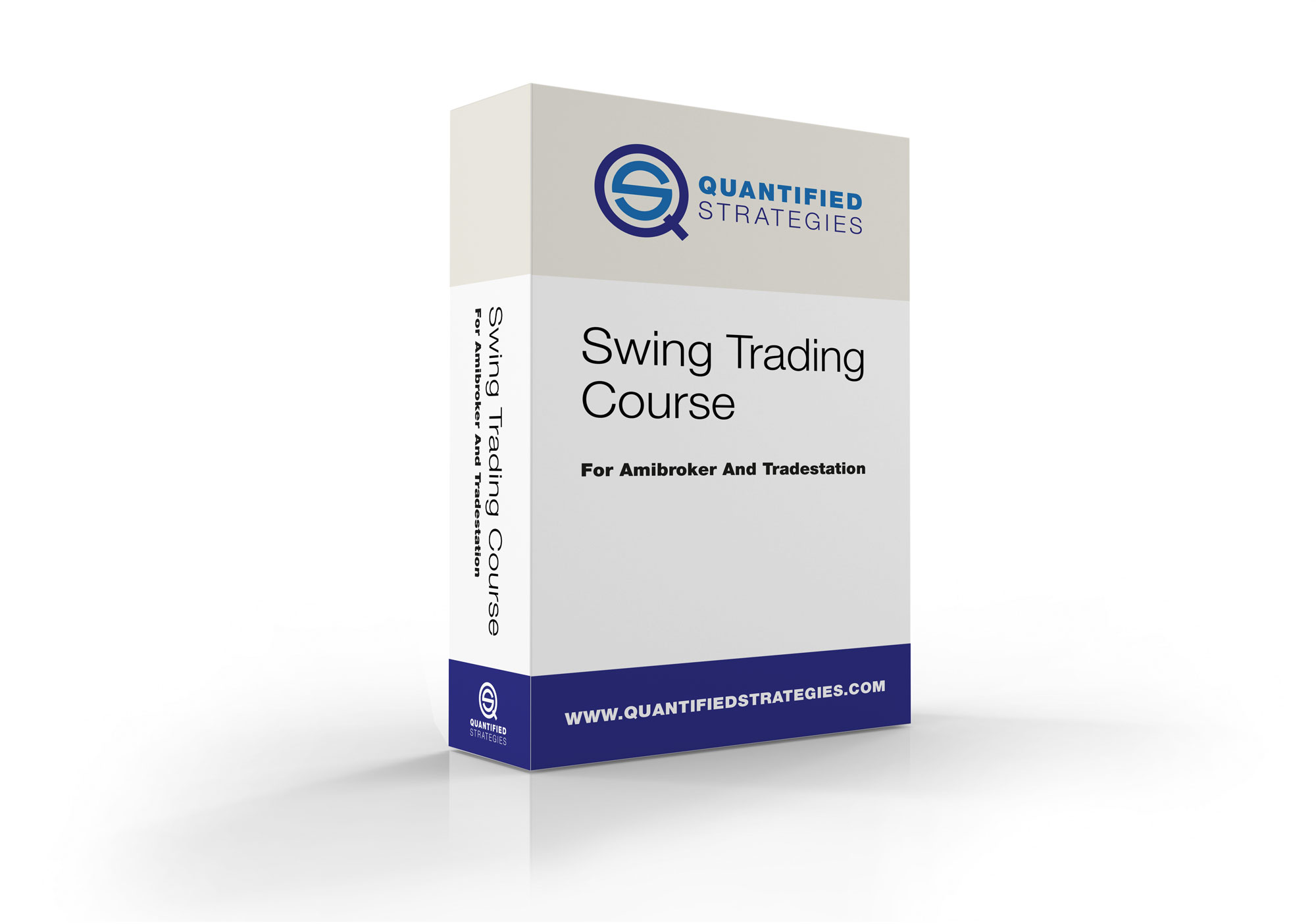 swing trading course
